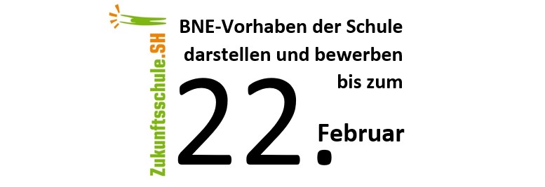 Anmeldung zur Bewerbung als Zukunftsschule